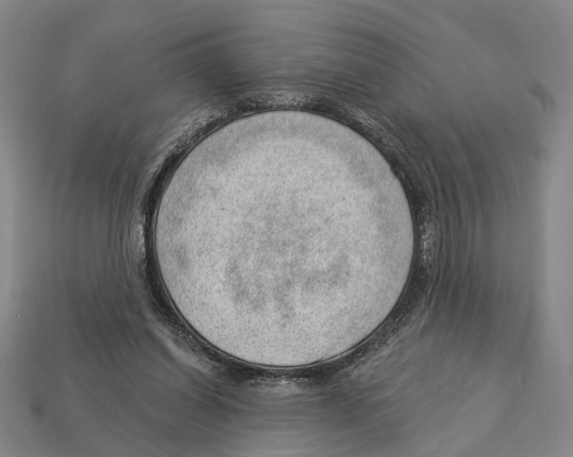 X0000112980254200909241226