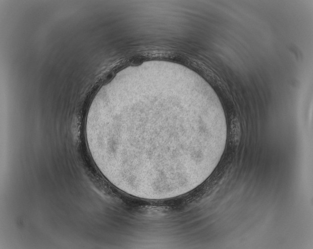 X0000112980255200909241226
