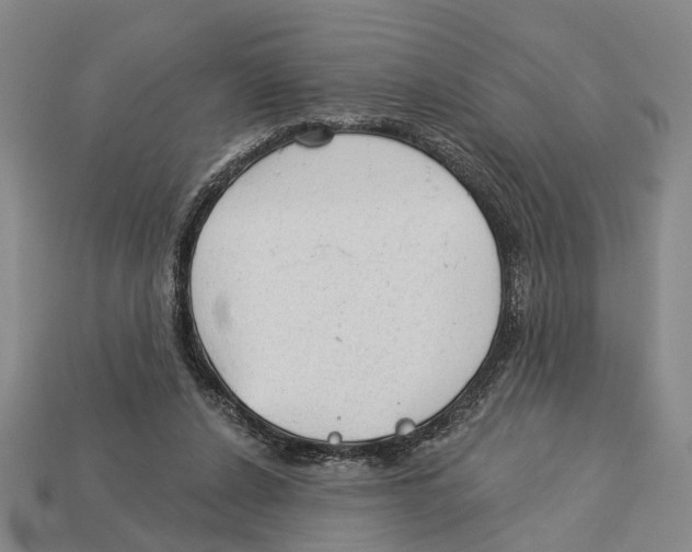 X0000112980256200909241226