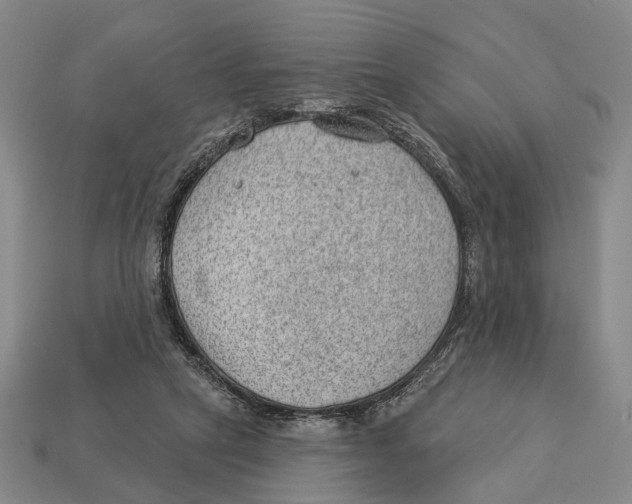 X0000112980257200909241226