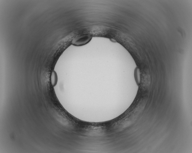 X0000112980260200909241226