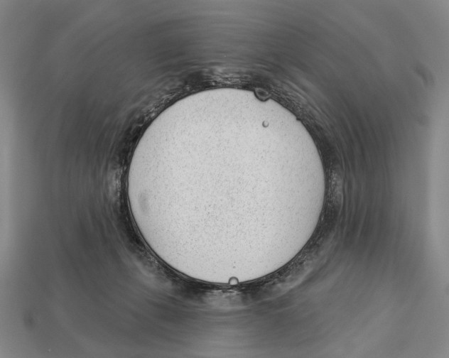 X0000112980271200909241226