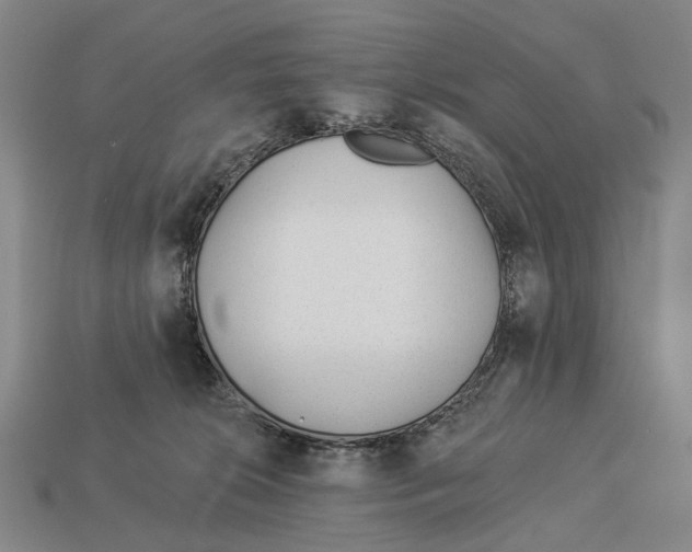 X0000112980276200909241226