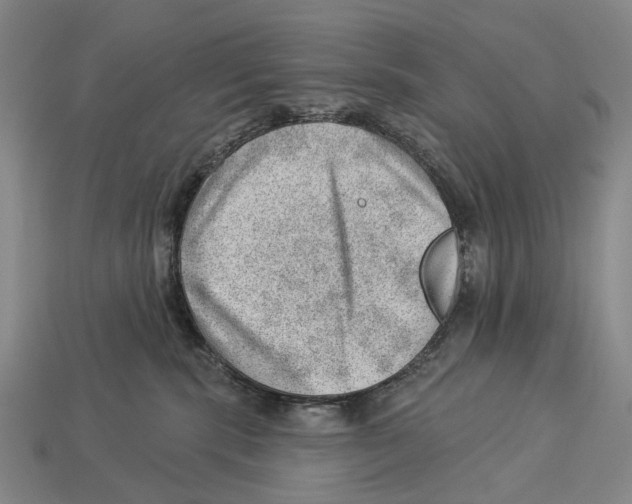 X0000112980283200909241227