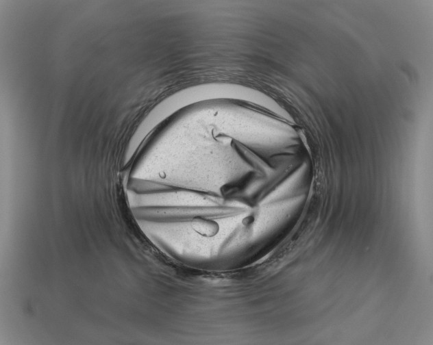 X0000112980284200909241227