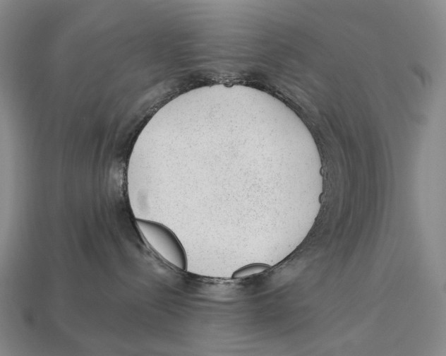 X0000112980288200909241227