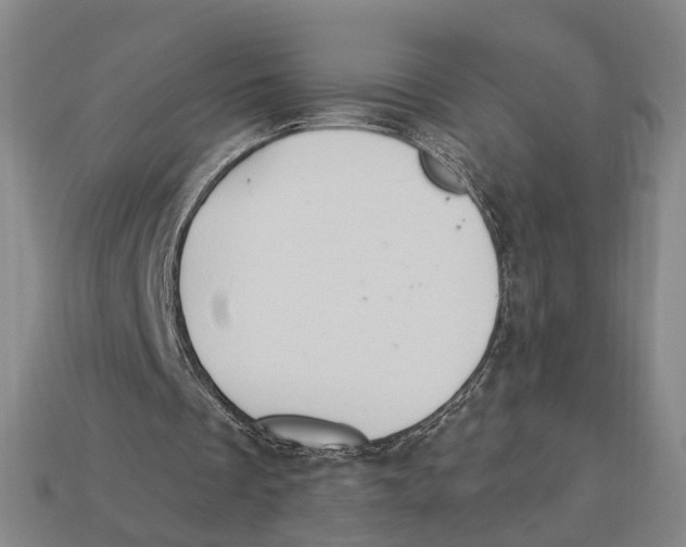 X0000112980289200909241226