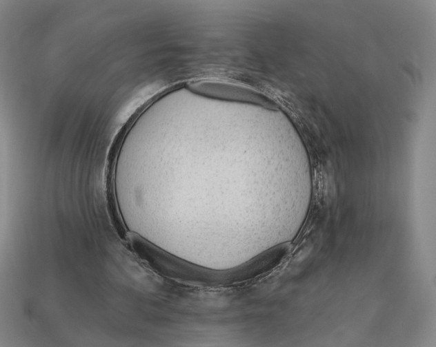 X0000112980292200909241226