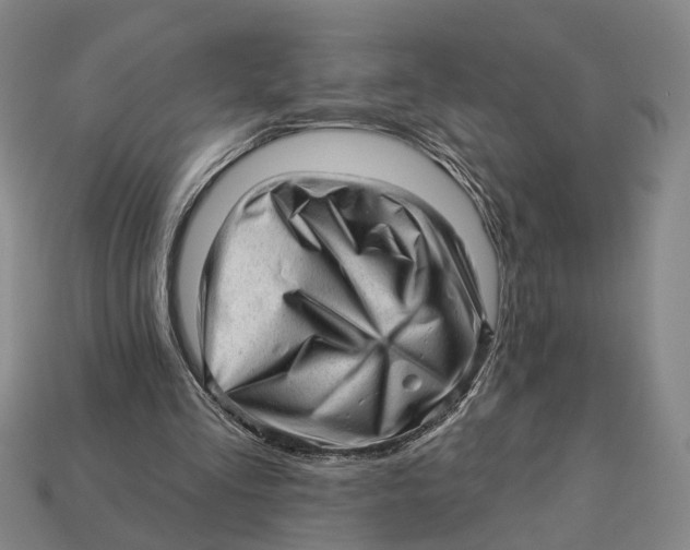 X0000112980293200909241226