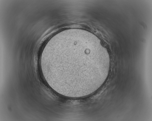 X0000112980295200909241226