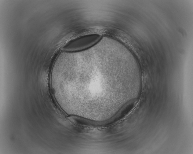 X0000112980297200909241226