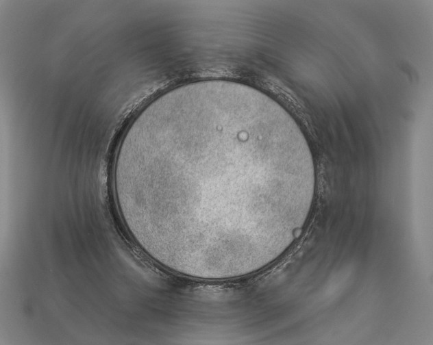 X0000112980298200909241226