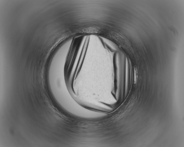 X0000112980300200909241226