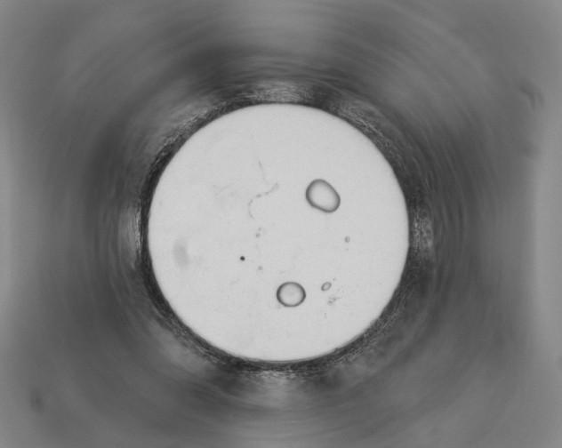 X0000112980302200909241226