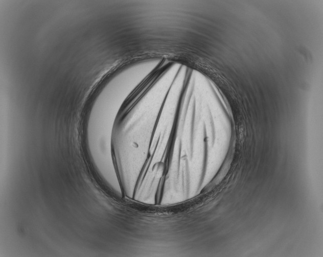 X0000112980304200909241226