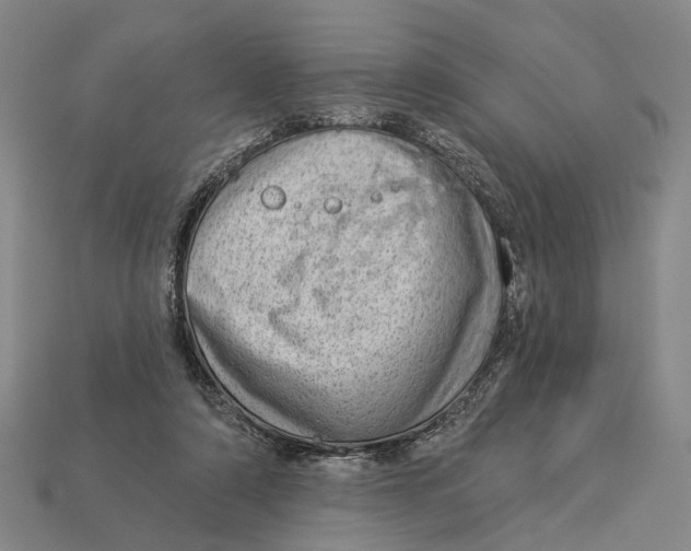 X0000112980306200909241226