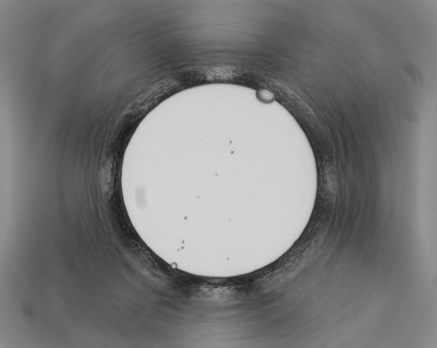 X0000112980311200909241225