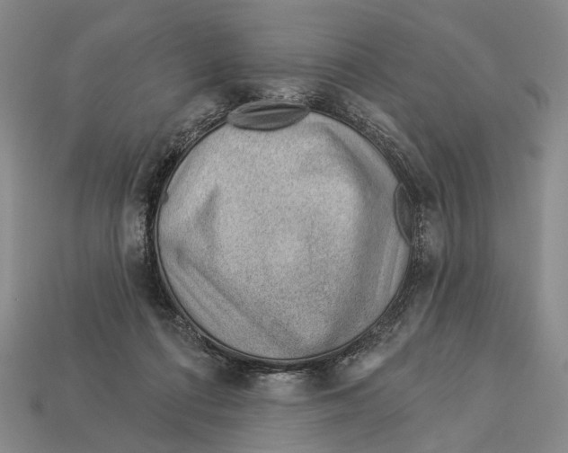 X0000112980312200909241225