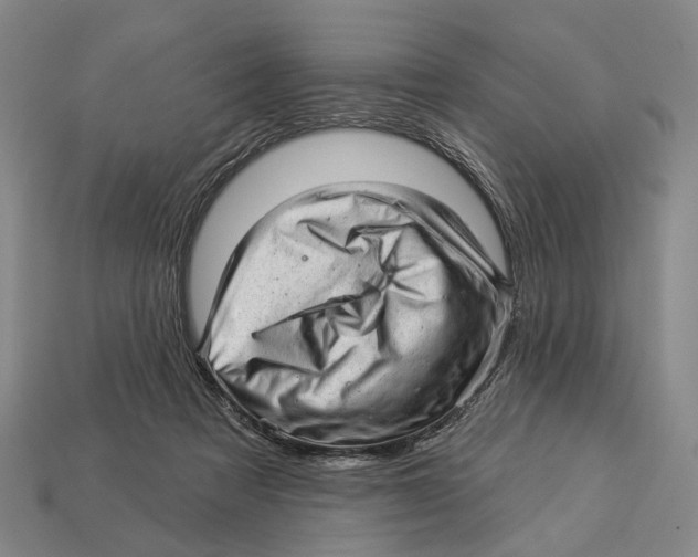 X0000112980313200909241225