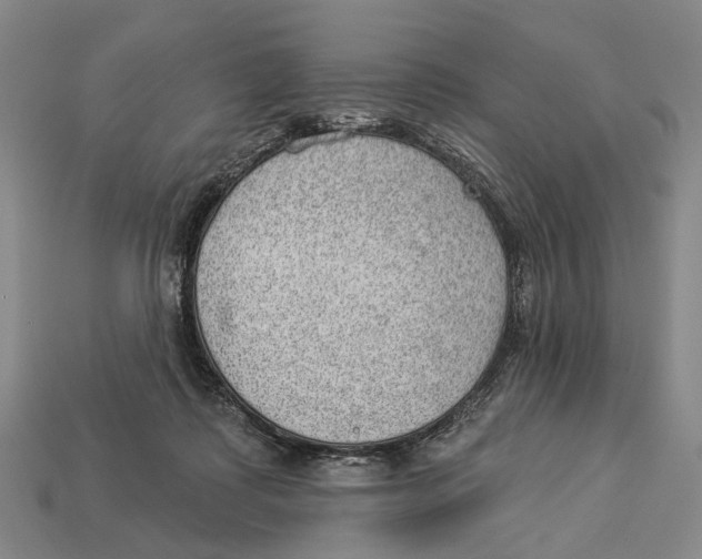 X0000112980315200909241225