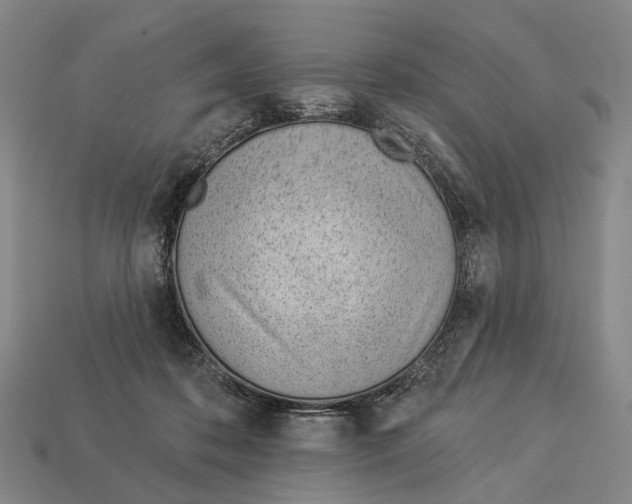 X0000112980316200909241225