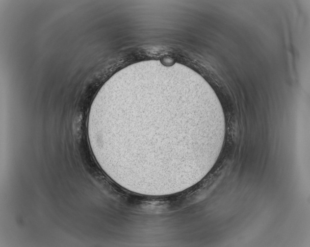 X0000112980319200909241225