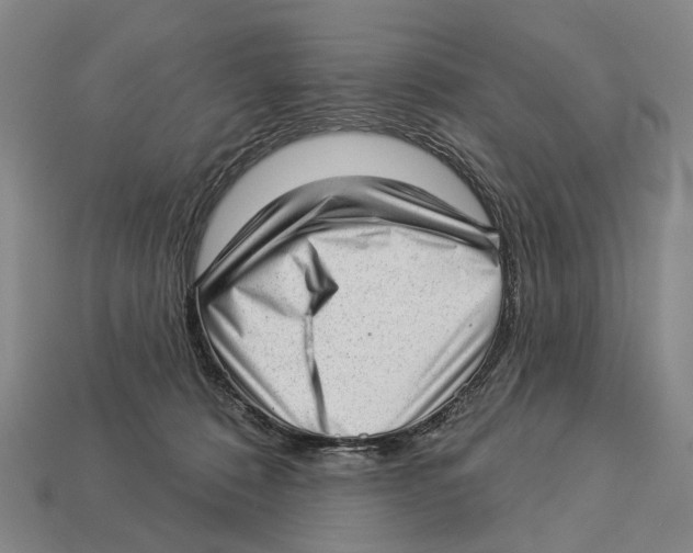 X0000112980320200909241225