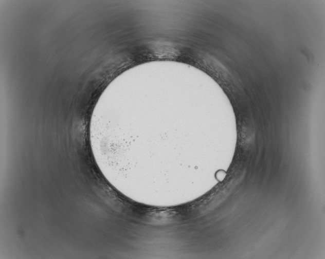 X0000112980321200909241225