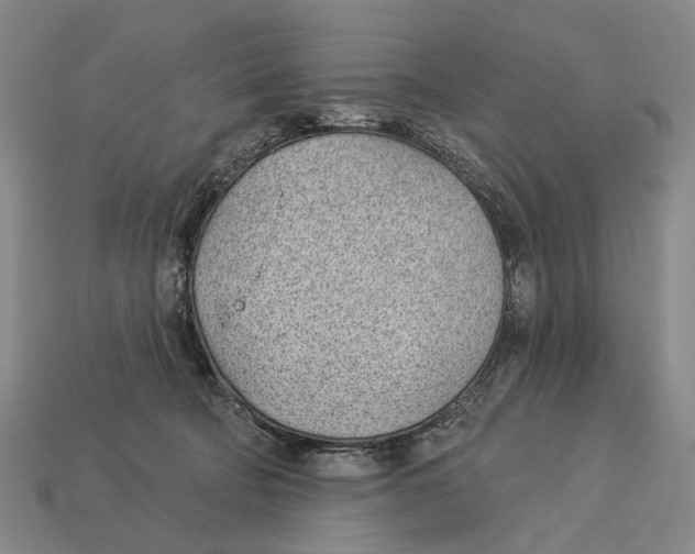 X0000112980322200909241225