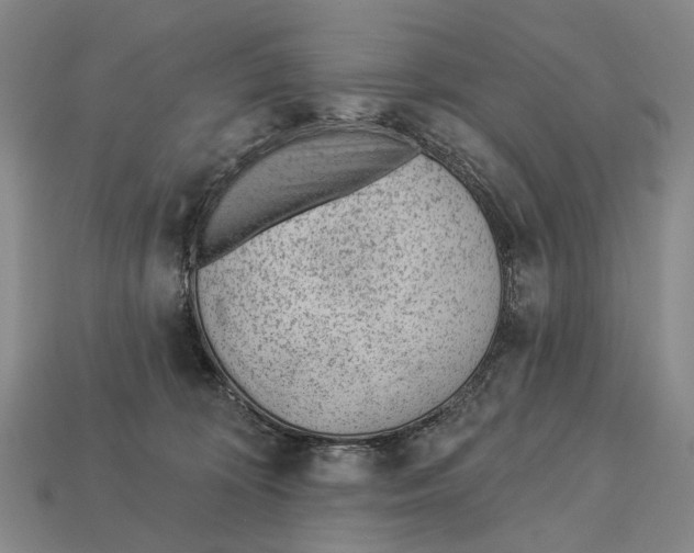 X0000112980324200909241225