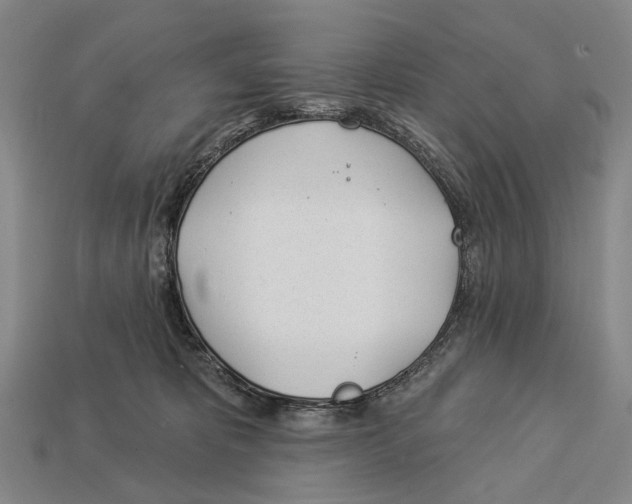 X0000112980325200909241225