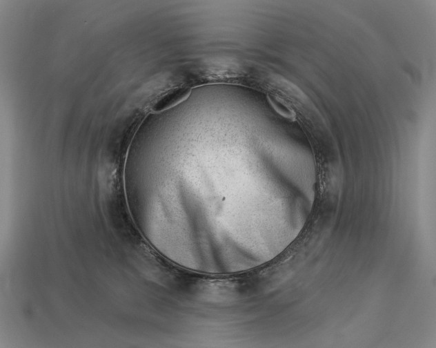X0000112980327200909241225
