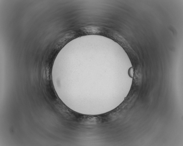X0000112980330200909241225