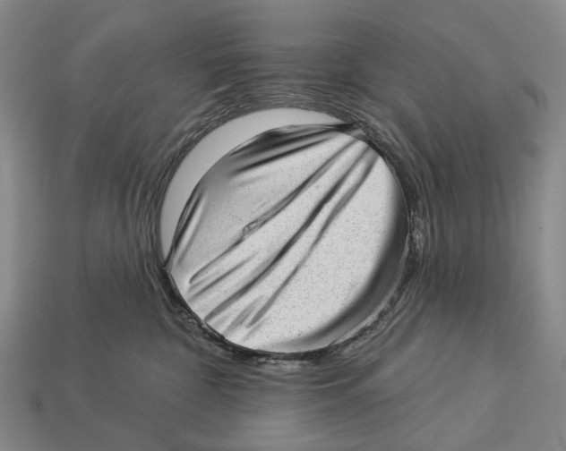 X0000112980332200909241225