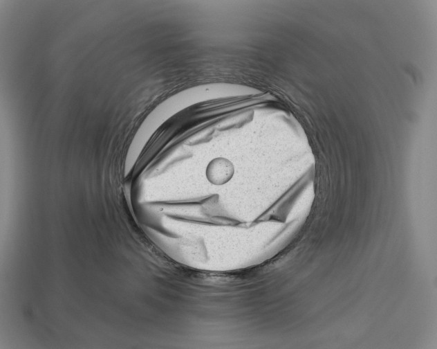 X0000112980336200909241225