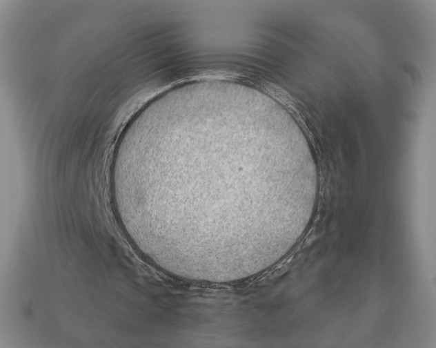 X0000112980337200909241225