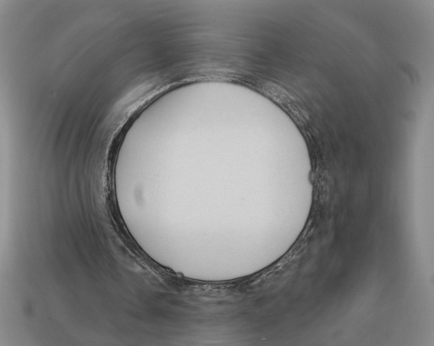 X0000112980338200909241225