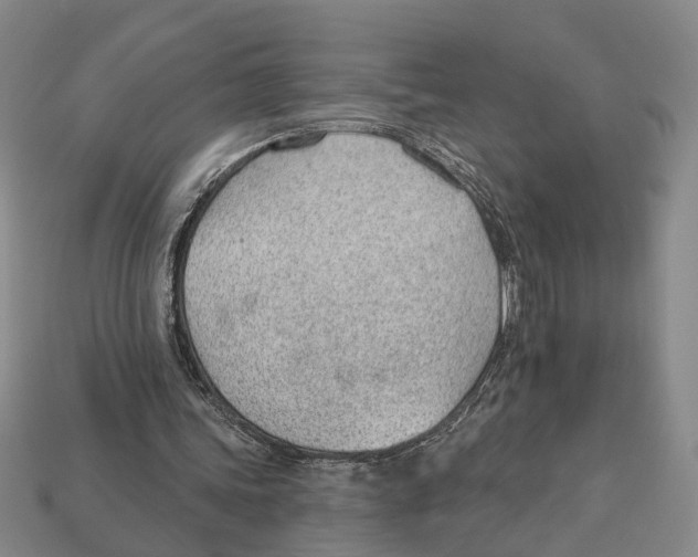 X0000112980339200909241225