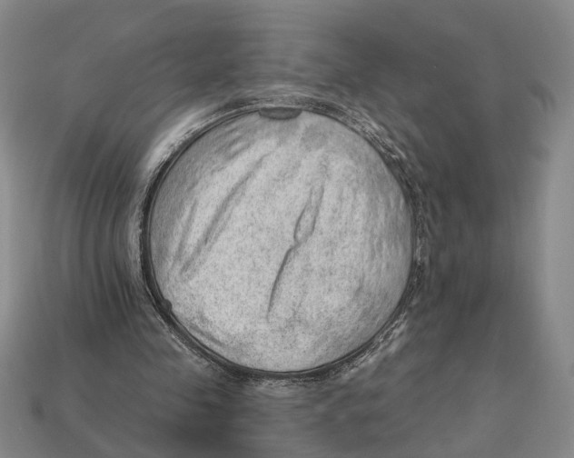 X0000112980341200909241225
