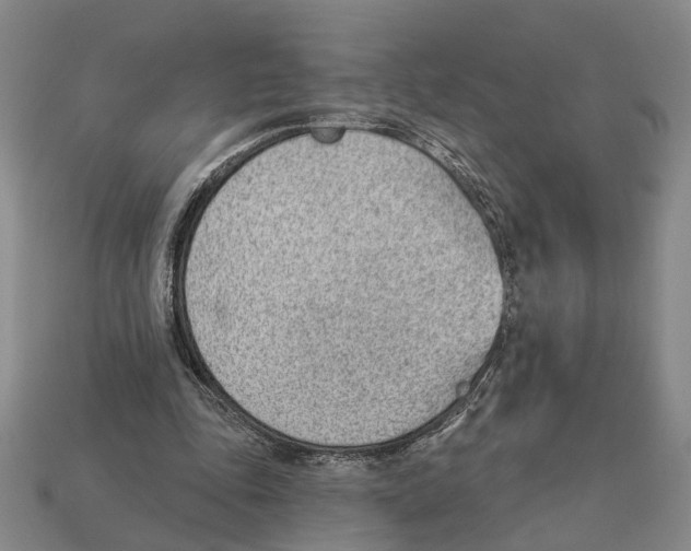 X0000112980343200909241225