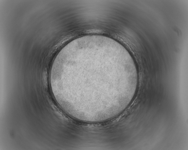 X0000112980345200909241225