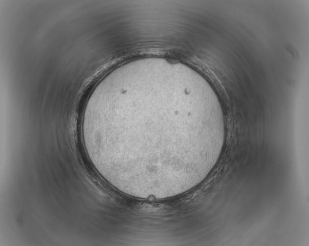 X0000112980346200909241225