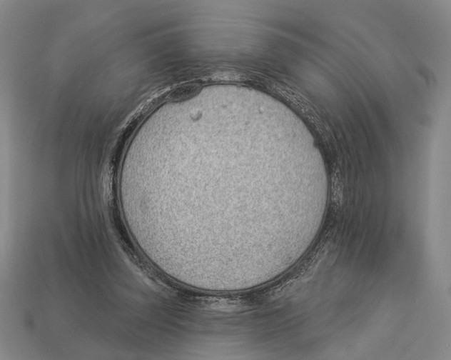 X0000112980347200909241225
