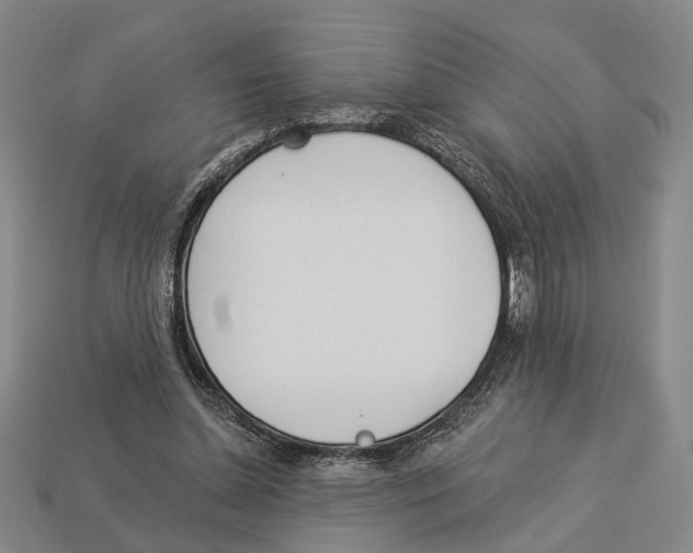 X0000112980348200909241225