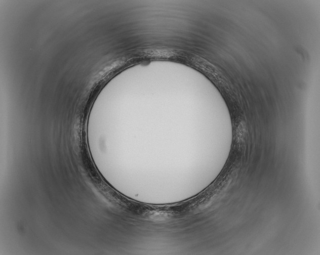 X0000112980352200909241225