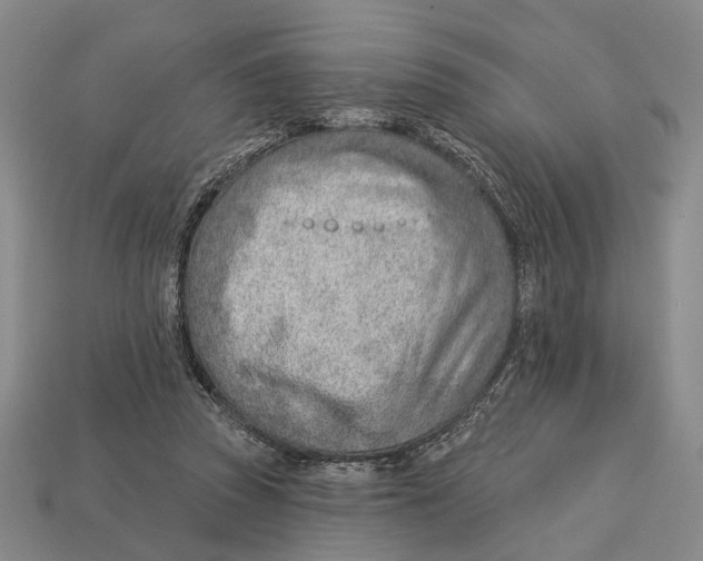 X0000112980353200909241225