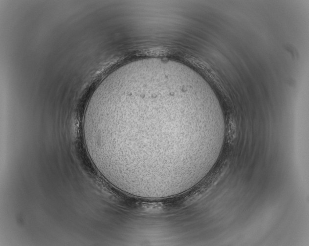 X0000112980355200909241225