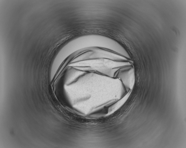 X0000112980356200909241225