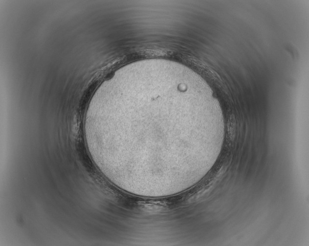 X0000112980359200909241225