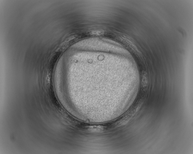 X0000112980363200909241225